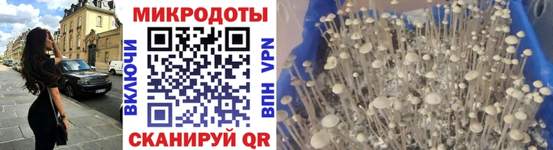 мега онион Карабаш Галлюциногенные грибы мухоморы